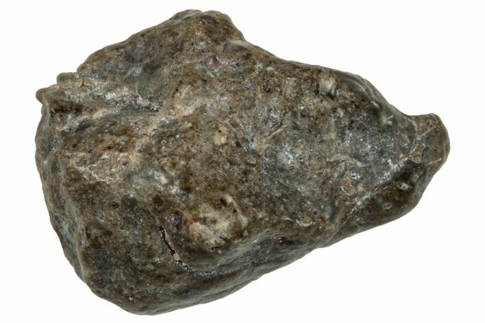 Lunar Meteorite ( g) - NWA #303318